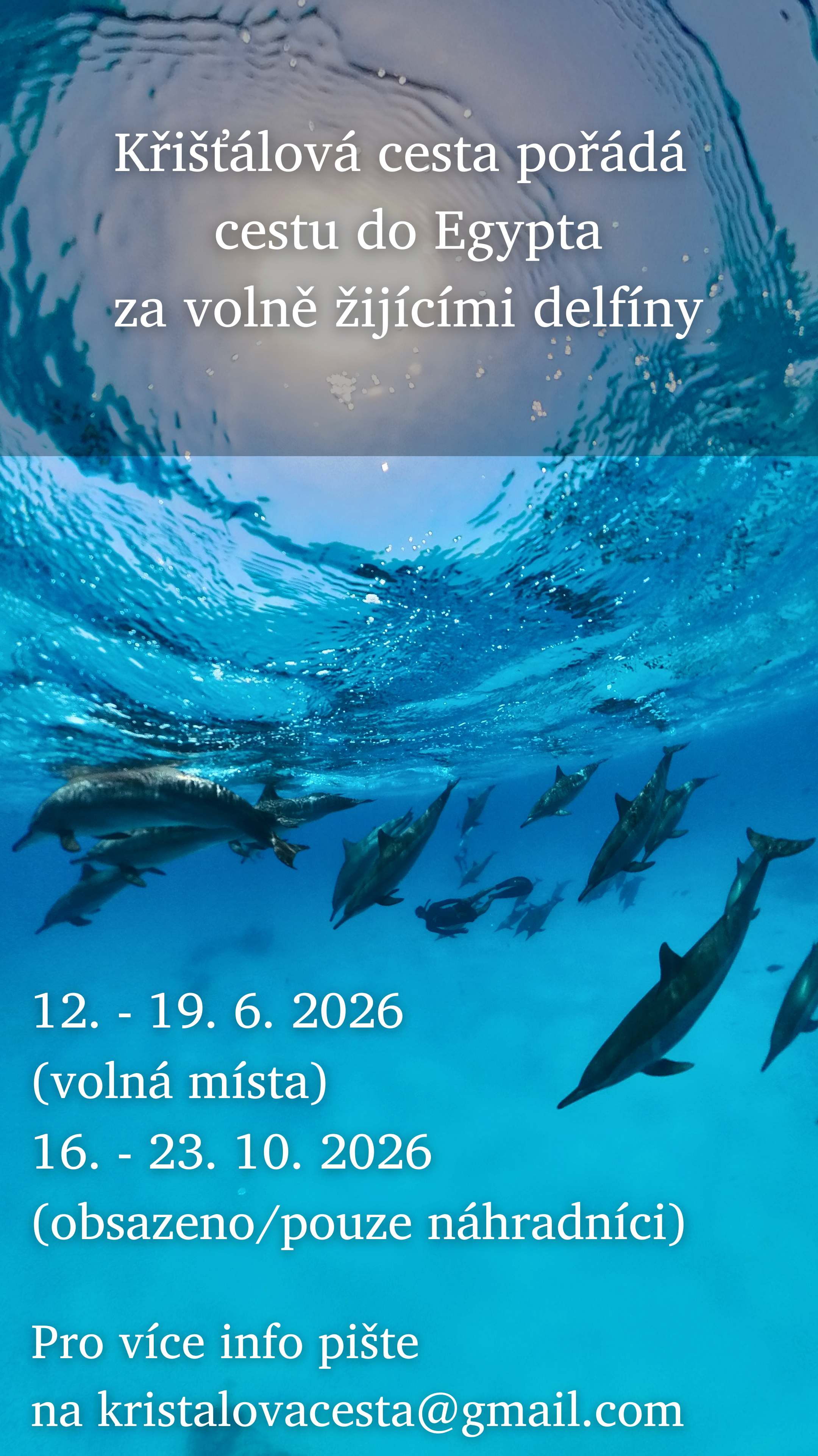 Delf&iacute;ni plak&aacute;t